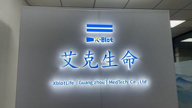 魚泡網(wǎng)