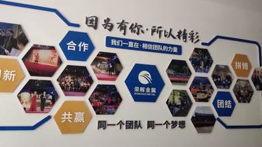 魚泡網(wǎng)