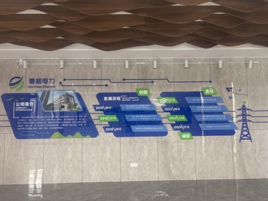鱼泡网