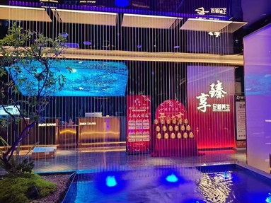魚泡網