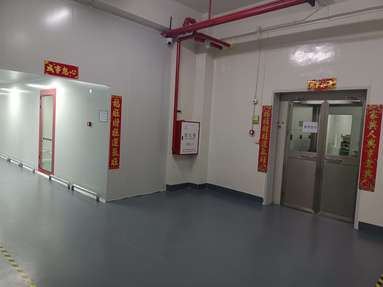 魚泡網(wǎng)