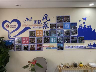 鱼泡网