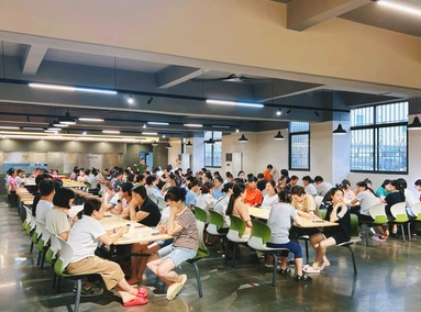 鱼泡网