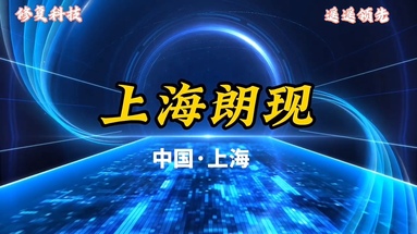 鱼泡网