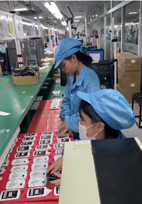 鱼泡网