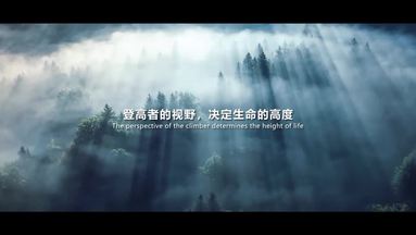 鱼泡网