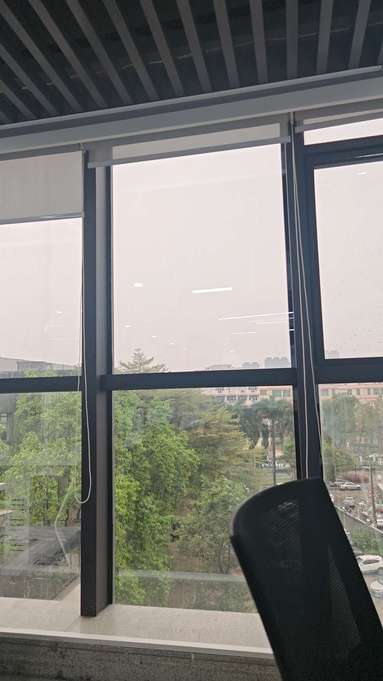鱼泡网