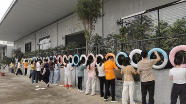 鱼泡网