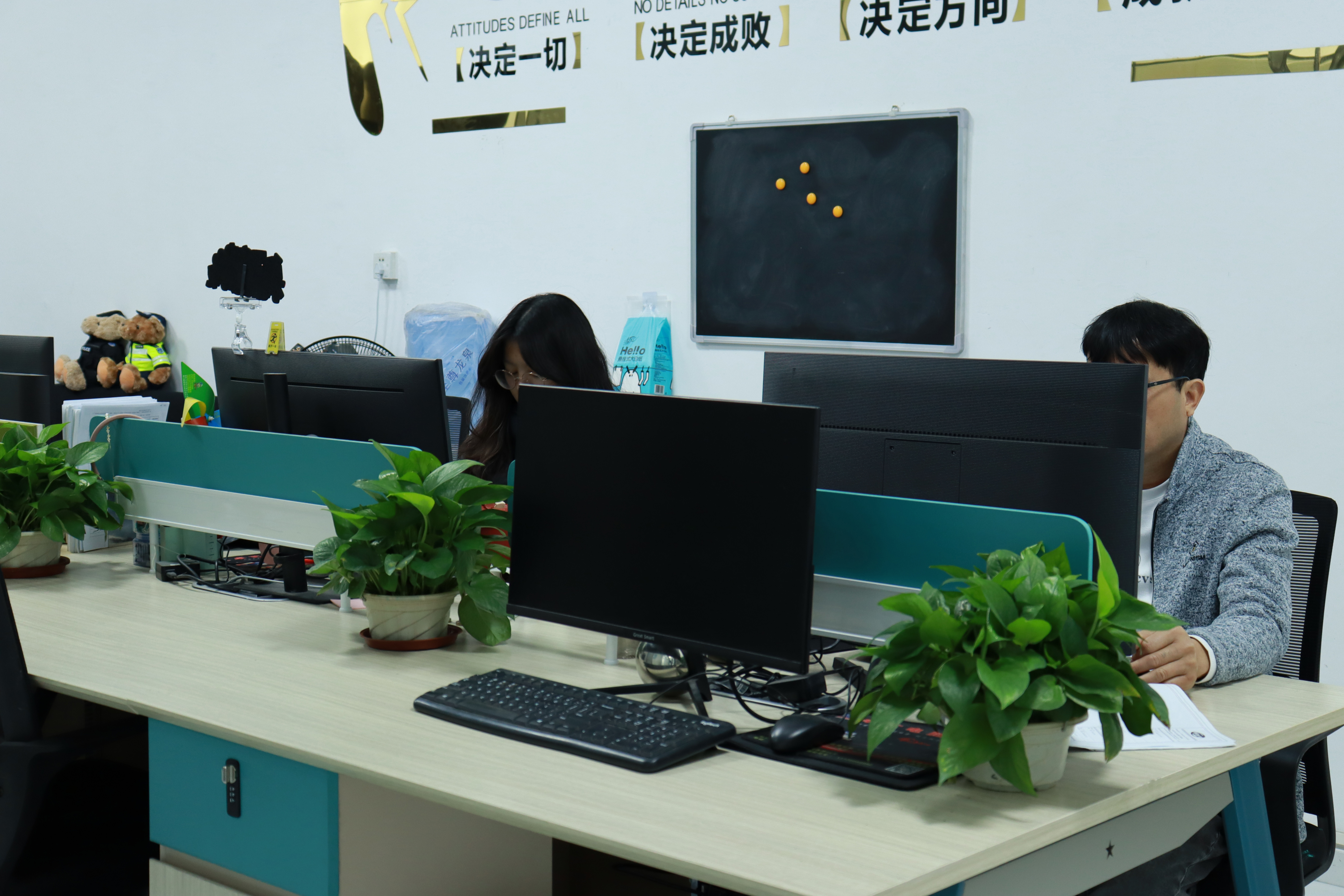 鱼泡网