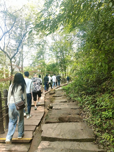 魚泡網(wǎng)