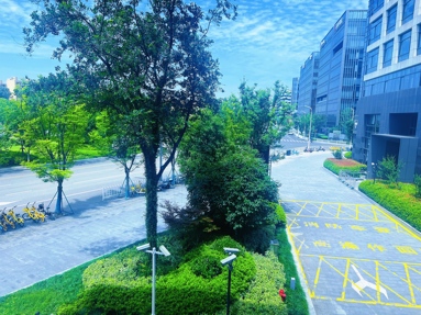 魚泡網