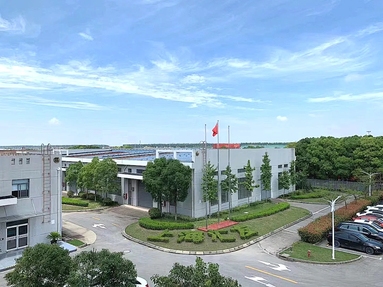 鱼泡网