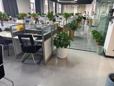 魚泡網