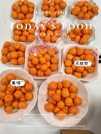 魚泡網