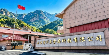 鱼泡网