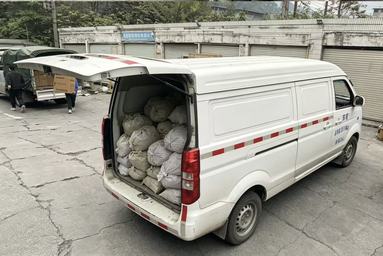 鱼泡网