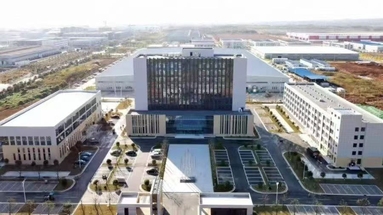 鱼泡网