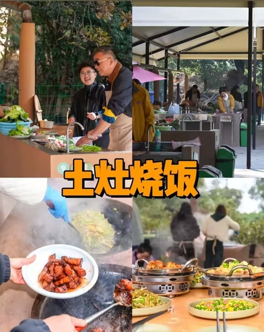 鱼泡网
