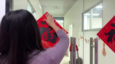 鱼泡网
