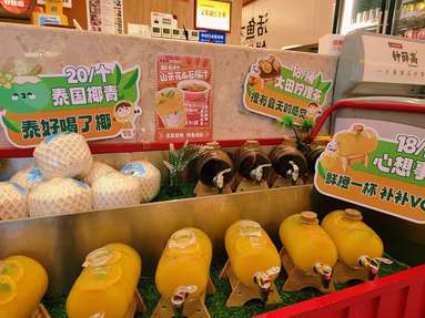 魚泡網(wǎng)