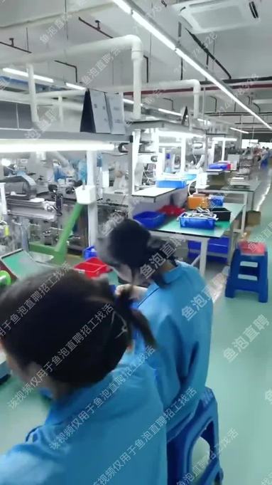 鱼泡网