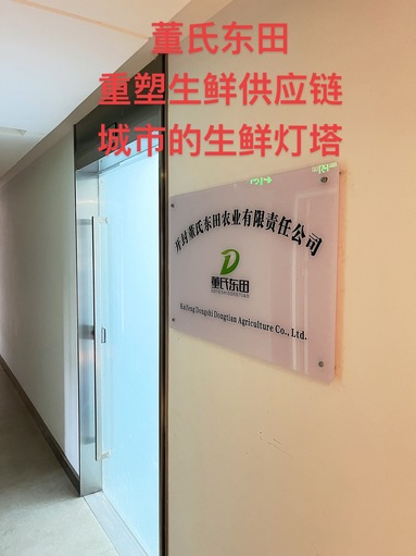 魚泡網