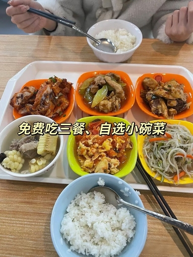魚泡網(wǎng)