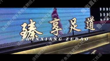 魚泡網