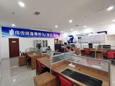 鱼泡网
