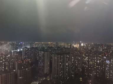鱼泡网