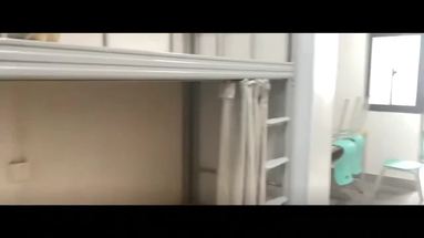 鱼泡网