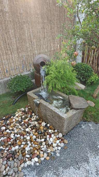 魚泡網