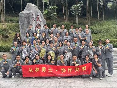 鱼泡网