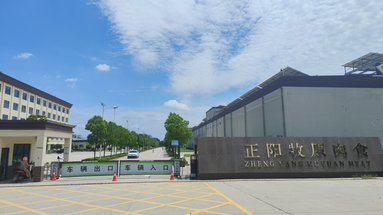 魚泡網