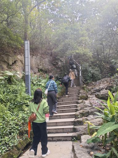 鱼泡网