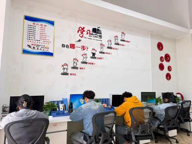 鱼泡网
