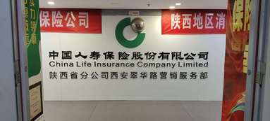 鱼泡网