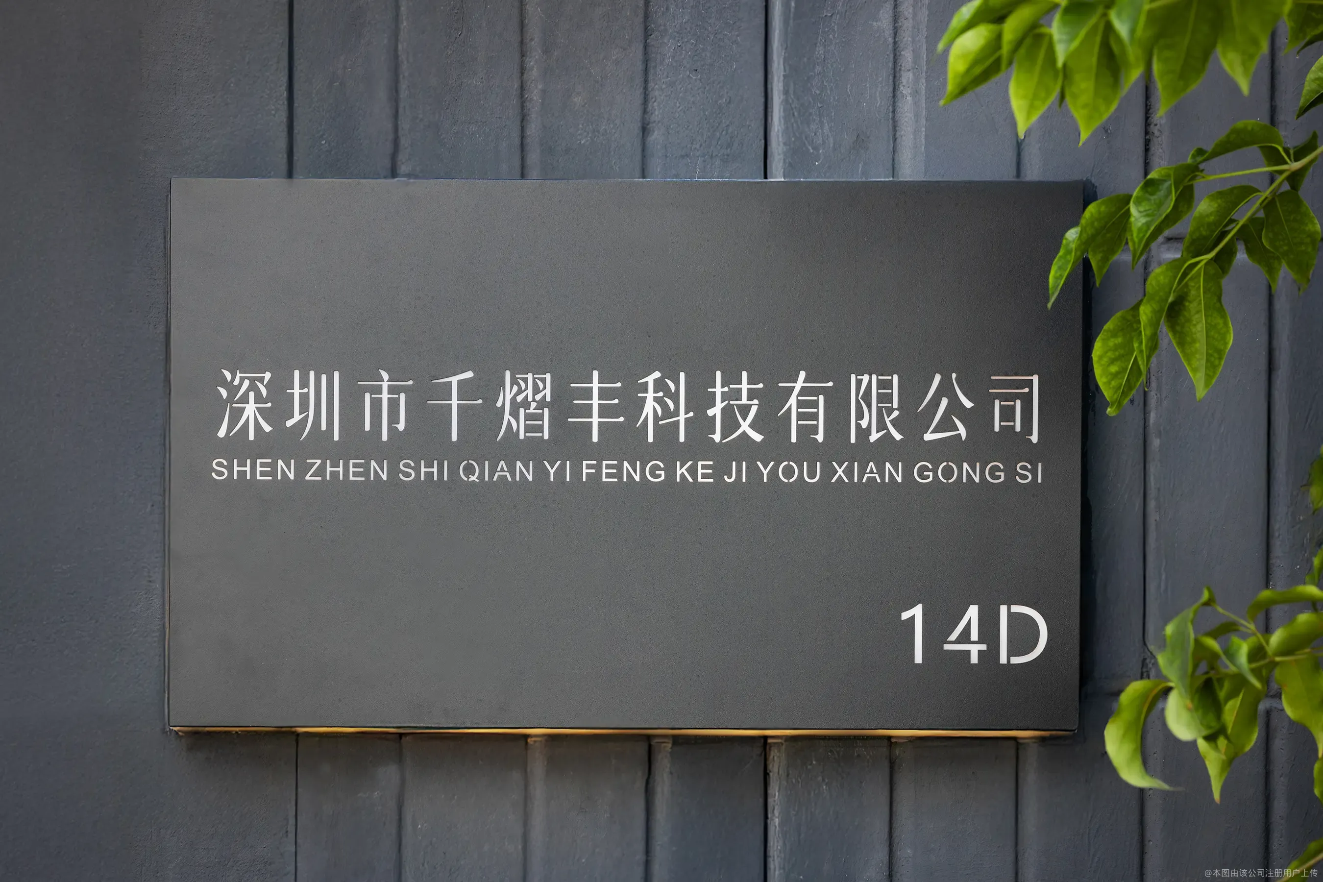 魚泡網(wǎng)