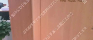 魚泡網