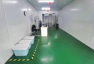 鱼泡网