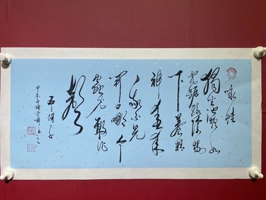 魚泡網