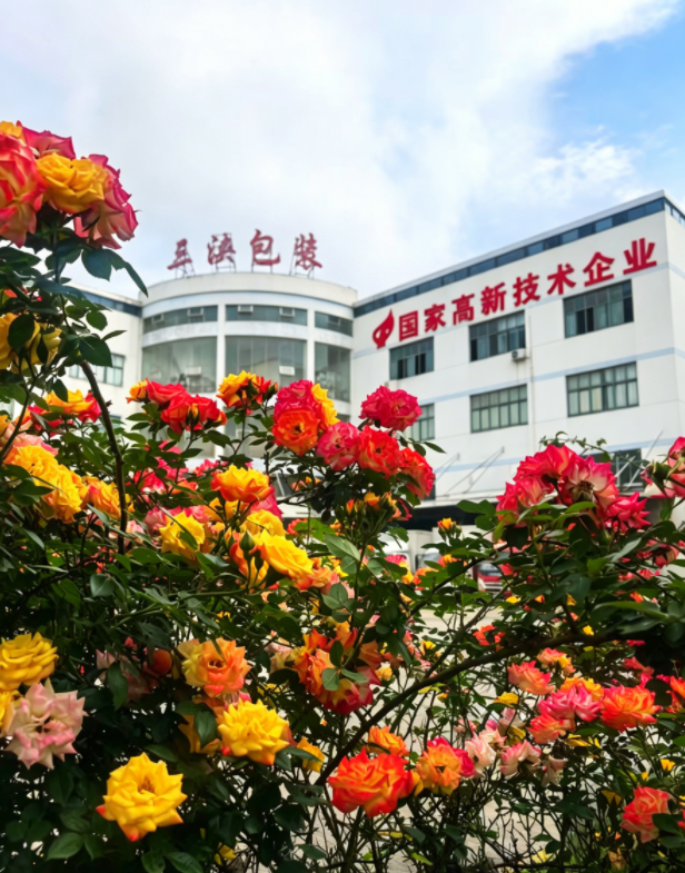 鱼泡网