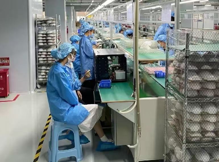 鱼泡网