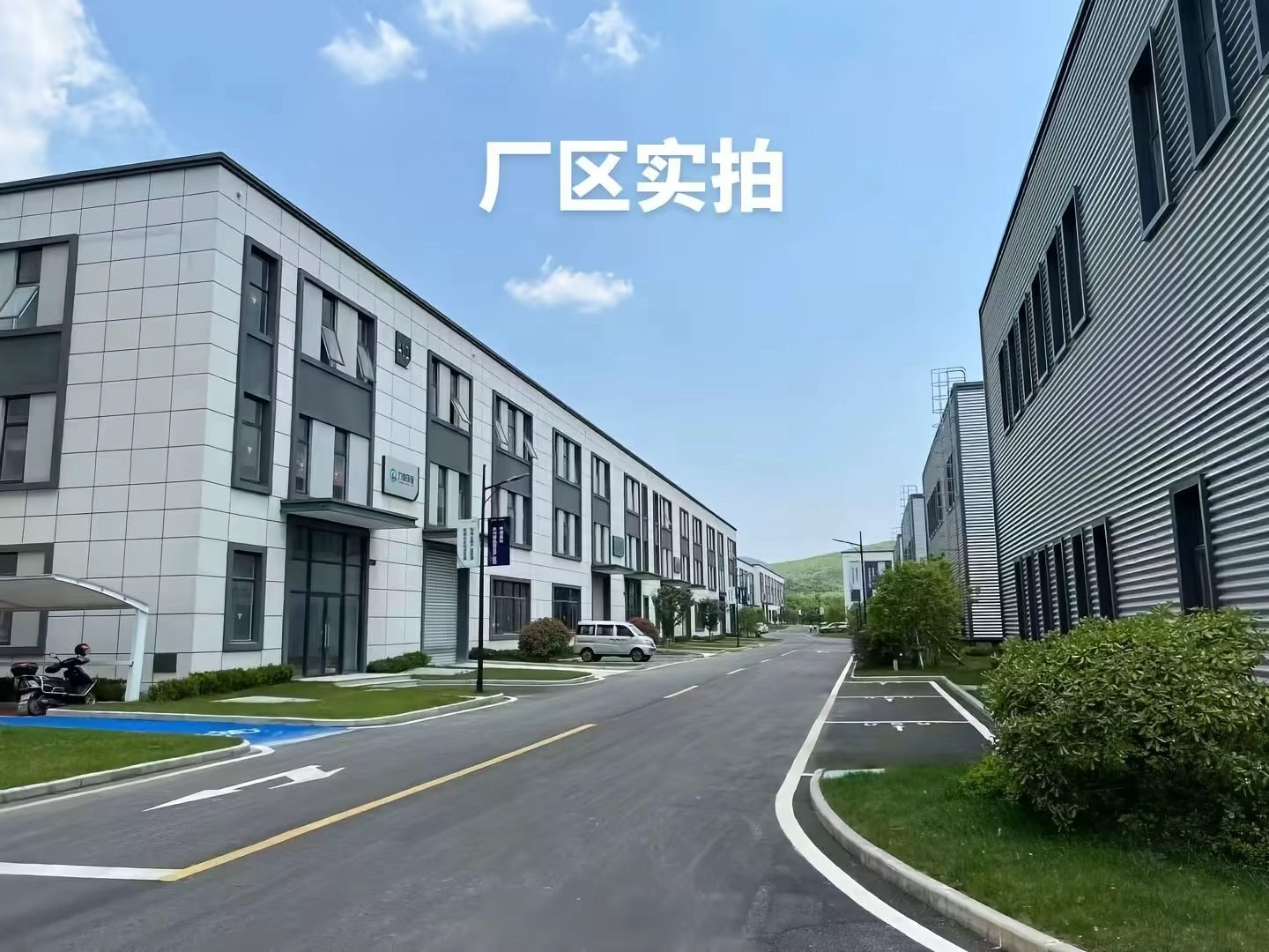 鱼泡网