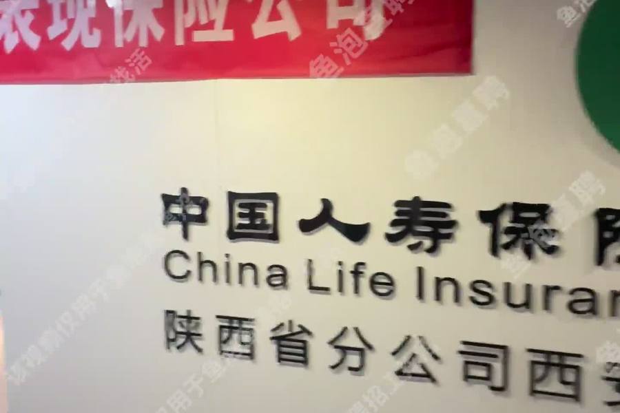 鱼泡网