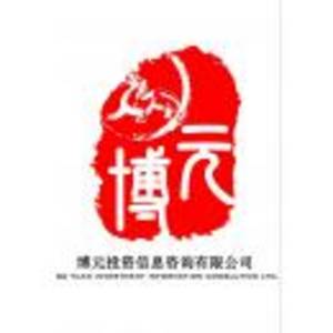 撫順博元投資信息咨詢有限公司