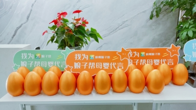 魚(yú)泡網(wǎng)
