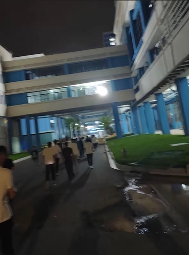 鱼泡网