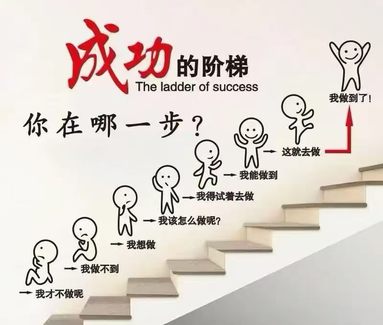 鱼泡网