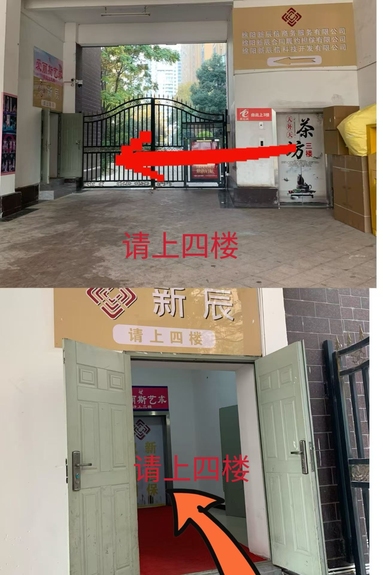 鱼泡网